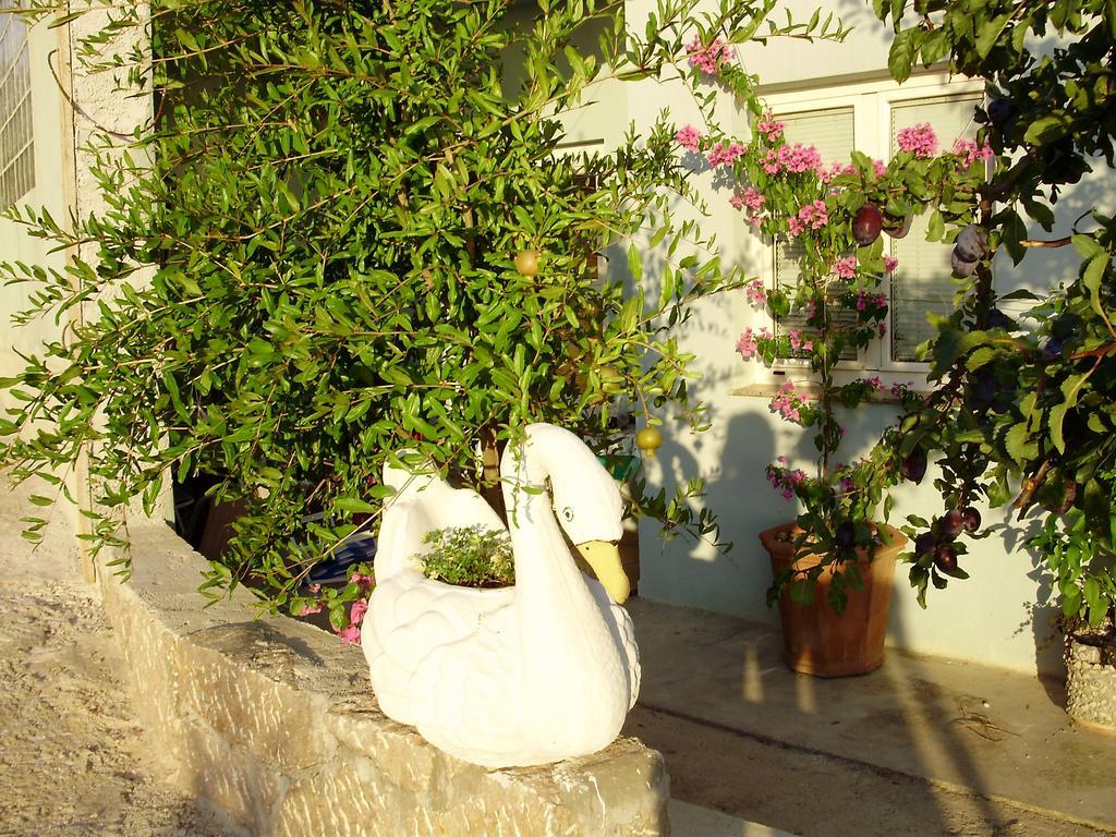 Apartman Lucija Seline Δωμάτιο φωτογραφία